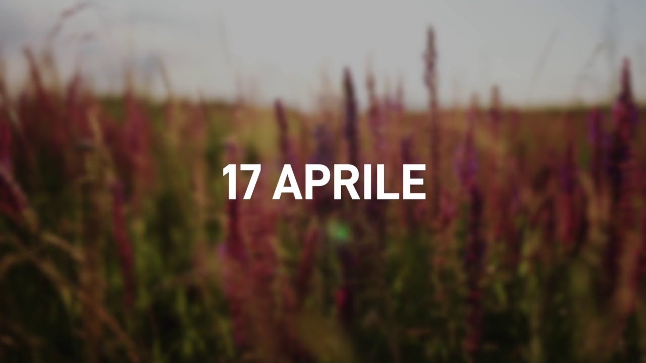 17 Aprile 2025 | Meditazione Parole di Vita