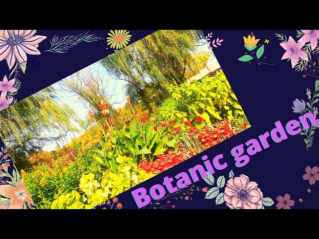 Botanic garden Beauty of nature botanic_garden nature