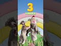 Learn FUN Numbers For Kids Toddlers English Learning