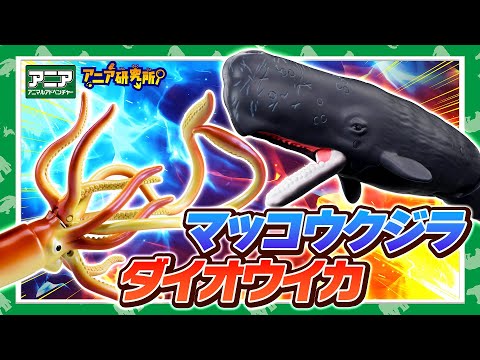 【アニア研究所】#25「深海大バトル！ダイオウイカVSマッコウクジラ」【タカラトミー公式】