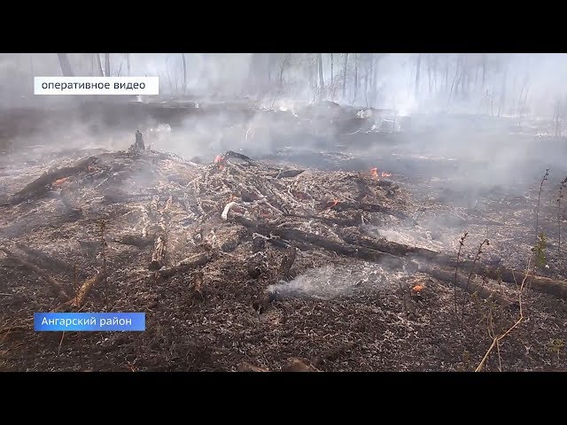 Лесные пожары не случайны?