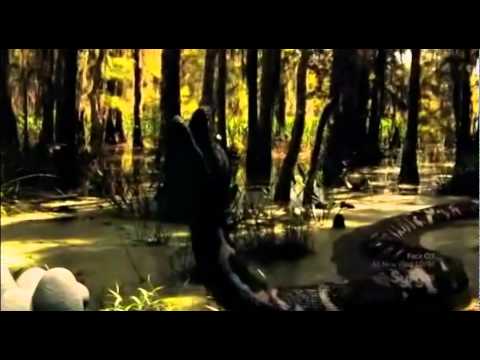 Danza de Mega Python Vs Gatoroid