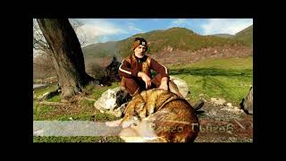 Анотация Мечи дири