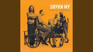 Бумажные цветы