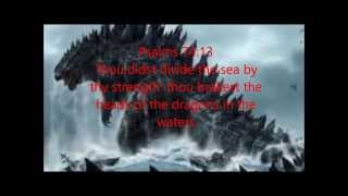 A Glimpse Into The Marine Kingdom