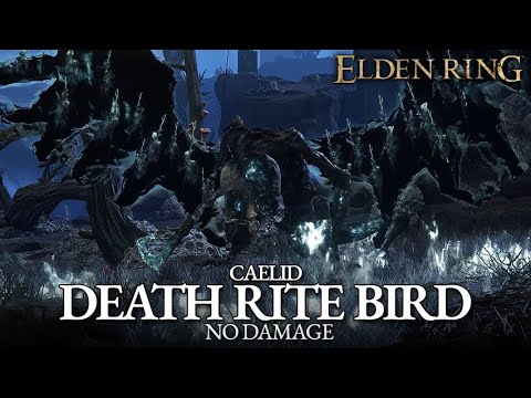 Death Rite Bird Boss Fight (No Damage) - Caelid [Elden Ring]