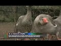 De la ciudad al campo