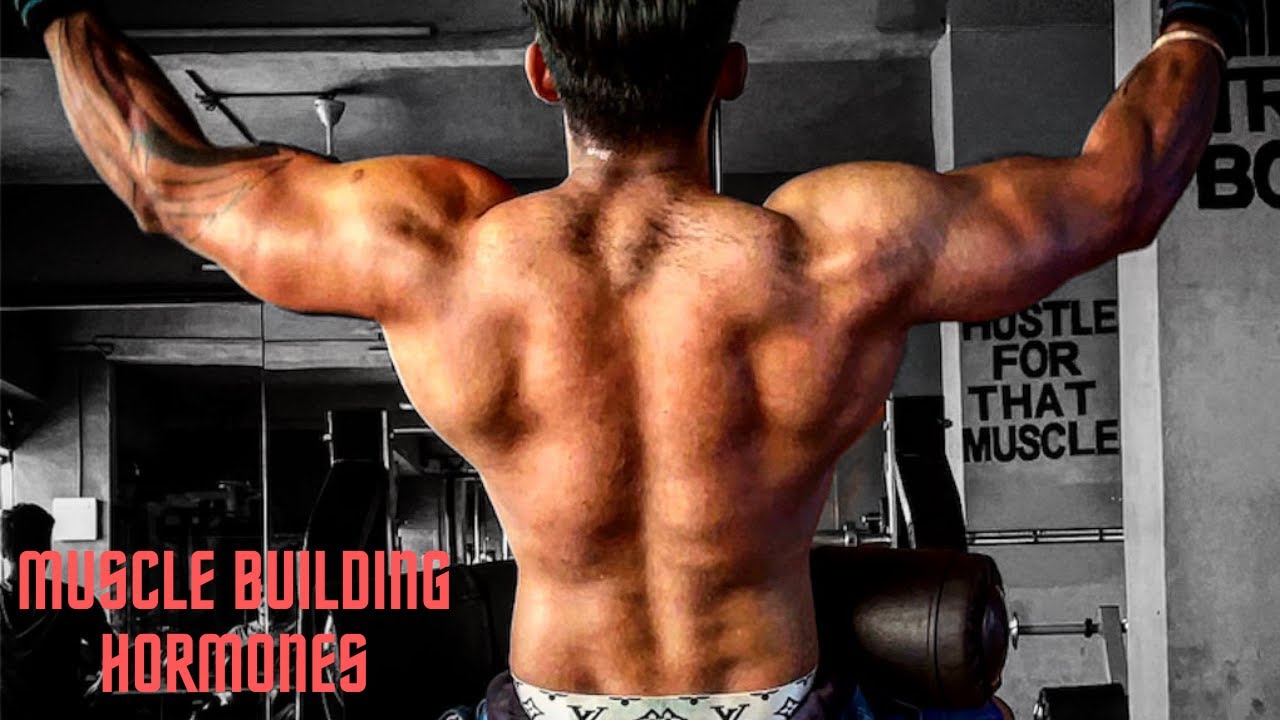 The Science of HGH & IGF-1