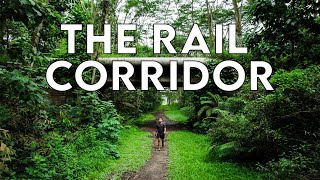 7 Best Attractions Along The Rail Corridor — A Scenic Hiking Trail in Singapore