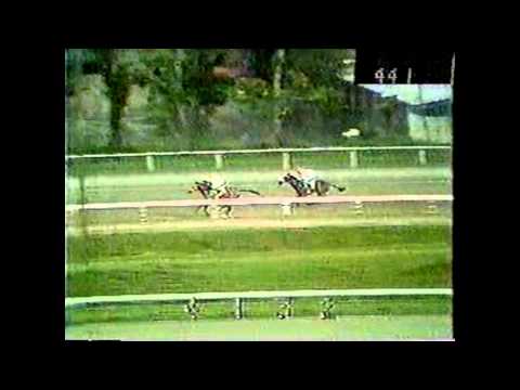 Tatra Voltage - Clásico Budweiser 1989