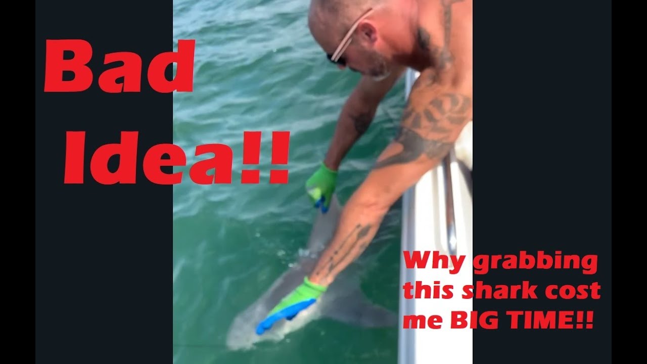Don't Try to Unhook a Bull Shark!!