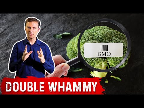 Hidden Dangers of Soy How Does it Affect Your Body – Dr Berg