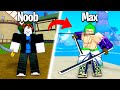 Noob To Max Level But I Only Use Swords Blox Fruits