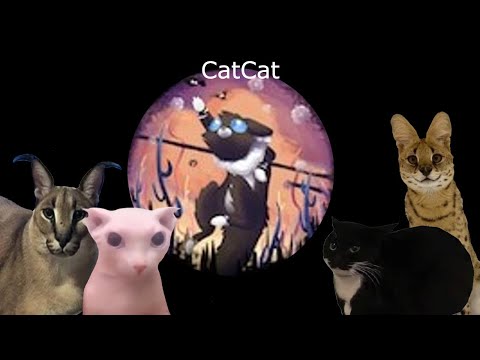 Playing Rain World as a  ̶S̶l̶u̶g̶Cat (Noircatto mod by Sir Meowsalot)