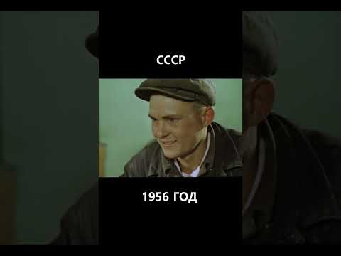 Вкусное московское пиво перед обедом. СССР. 1956 год. #история #прошлое