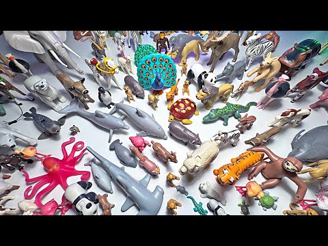 150 Playmobil Animals - Dolphin, elephant, shark, giraffe, octopus, lion, sea turtle, wolf