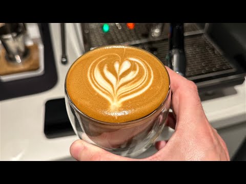 ECM Synchronika's daily routine