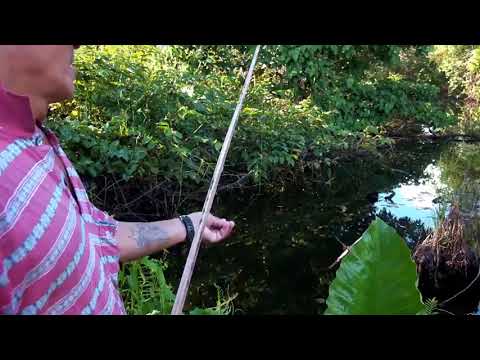 38  Borneo Death Blow   Full Documentary