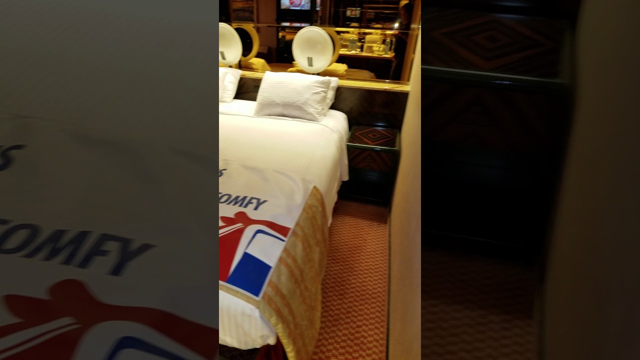 Carnival Paradise - Cabin U88 - Video 1