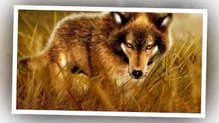 Sound Of The Wolves - Music and Nature Sounds For Relaxation