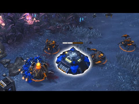 Bly's 500 IQ Proxy Hatch | Bly (Z) vs ByuN (T)