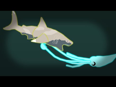 SNBA: 🦈Great White Shark Vs Colossal Squid🦑