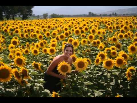 Raimonds Pauls - Zilie Lini