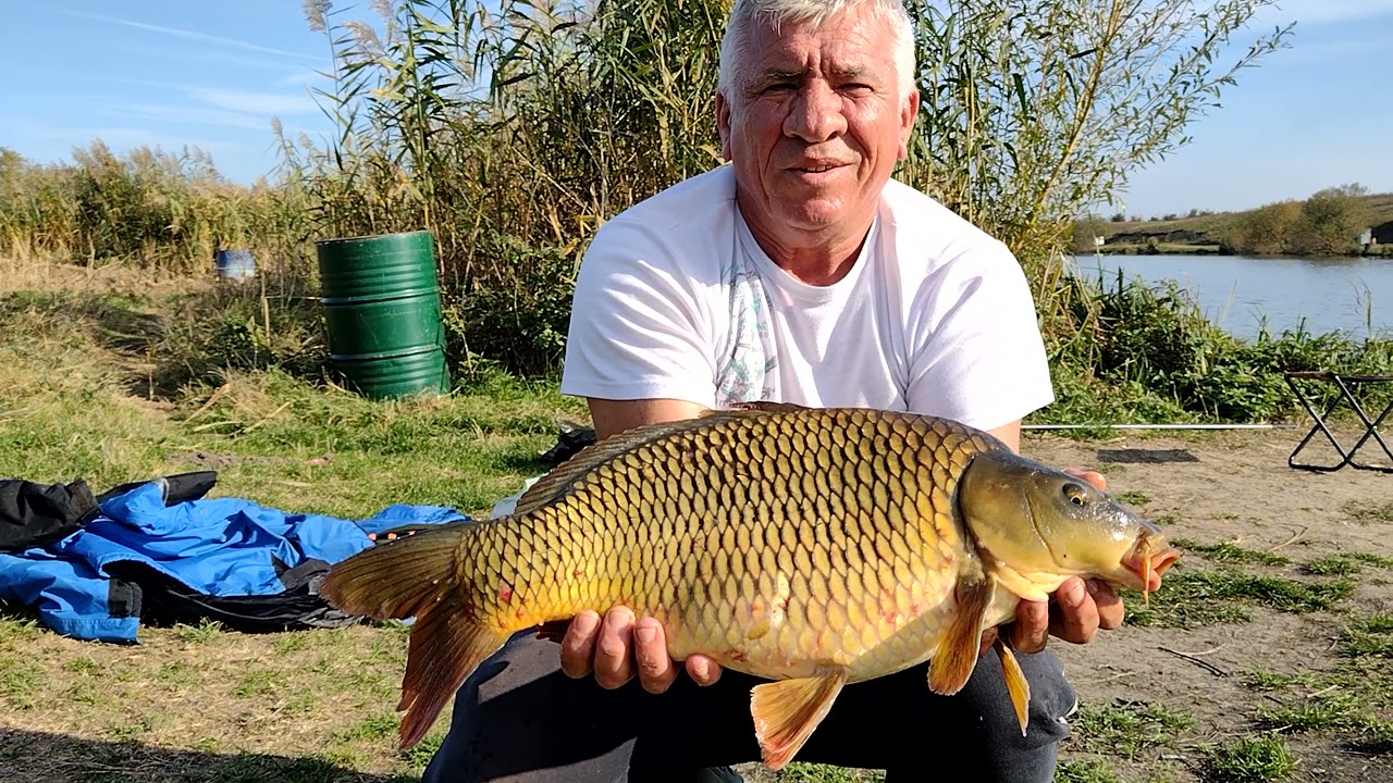 Vulpea care nu ajunge la struguri ... zice ca sunt acri. La #pescuit pe Lacul Boteni 1, la #crap