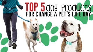 Top 5 Dog Products For Change A Pet's Life Day