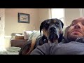 Monster and Puppy