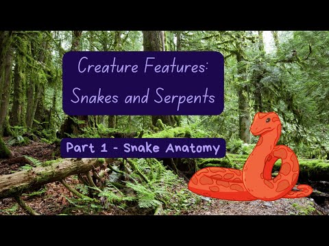 Creature Features: Snakes and Serpents: Part 1 - Anatomy