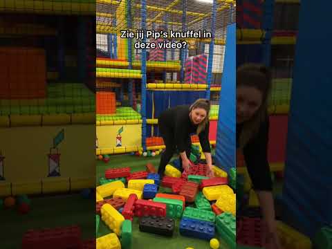 Kan jij de knuffel vinden in de video? Waar zit ie? 🤔 @deBakkertjes