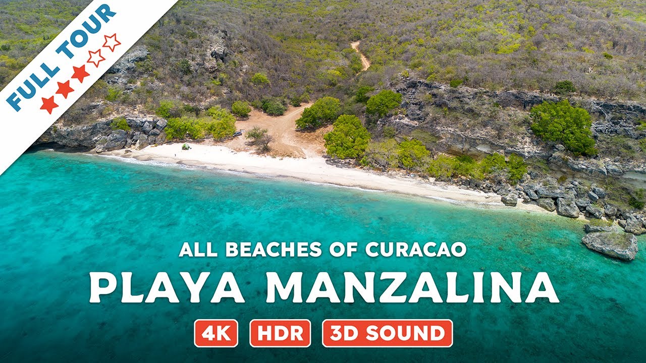 Playa Manzaliña