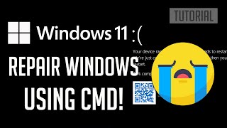 How to Repair Windows 11 using Command Prompt (CMD) [2024]