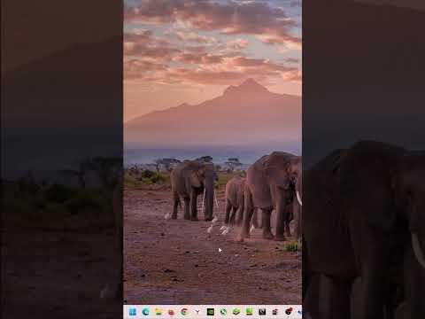 [Windows Tips] How to set time automatically in Windows 11