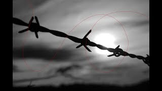 THE SHARPEST LIVES - MY CHEMICAL ROMANCE (Lyric Video)