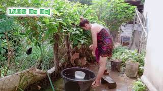 Download lagu Da dej Beauty Girl Barthing #girls #romantic #barthing #Shorts 44 mp3 Download lagu Da dej Beauty Girl Barthing #girls #romantic #barthing #Shorts 44 mp3