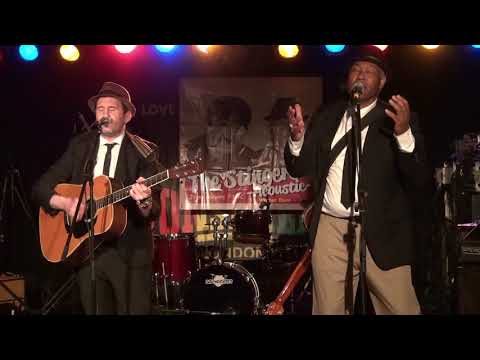 The Stingers - Artificial Tears (Live at Freedom Sounds Festival 2019)