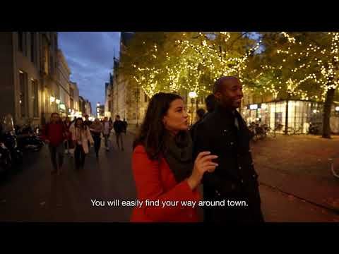 Relocating to The Hague – A great place to live and work for internationals