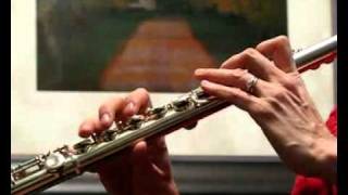 Video thumbnail for Yamaha 221 Used Student Flute - Upper Register Demo by Flutastic!