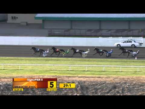 Meadowlands Qualifier #5 - Real Nice - November 15, 2014