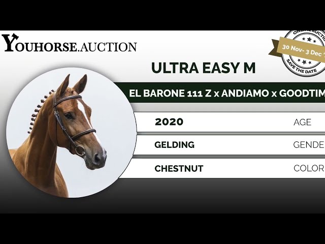 Ultra Easy M homevideo