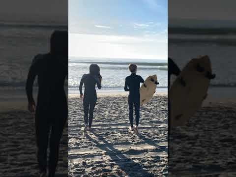 Avi Angel (IG Story)