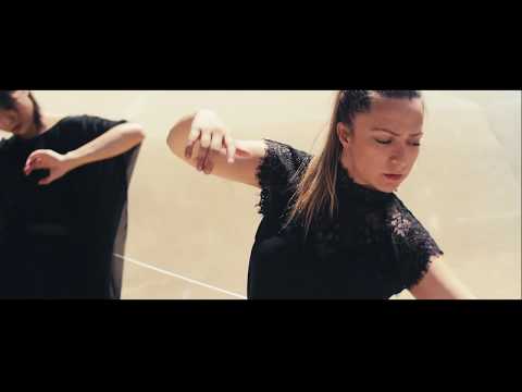 Nachtfarben feat. Nora Gomringer & DJ Illvibe: Nacht für Nacht - Questions about the dog