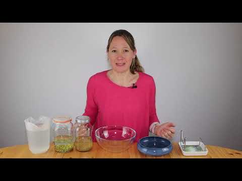 Join in! Grow sprouts in a homemade sprouting jar