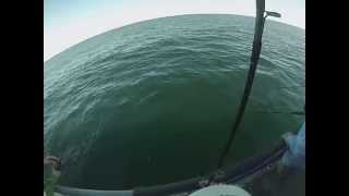 preview picture of video 'Deep Sea Fishing Trip By Go Pro Camera.'