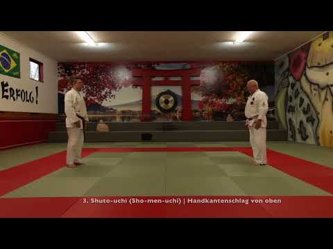 3. Angriff: Shuto-uchi Sho-men-uchi | Handkantenschlag von oben