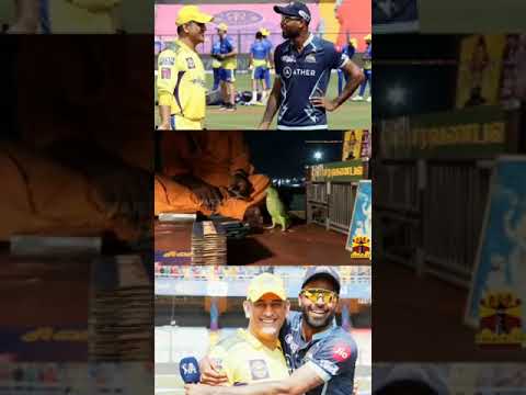 CSK VS GT | 2023 IPL CUP யாருக்கு?| கிளி ஜோசியம் என்ன சொல்லுது ?| FULL VIDEO LINK IN DESCRIPTION