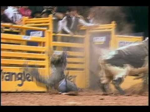 Bucking Bull Skat Kat Skoal