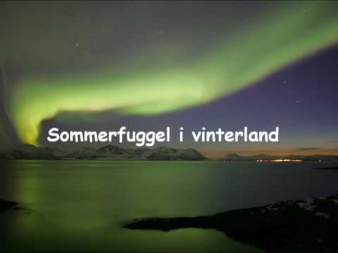 Sommerfuggel i vinterland ...ENGELISH..